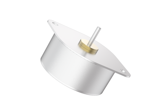 Permanent Magnet Stepper motors